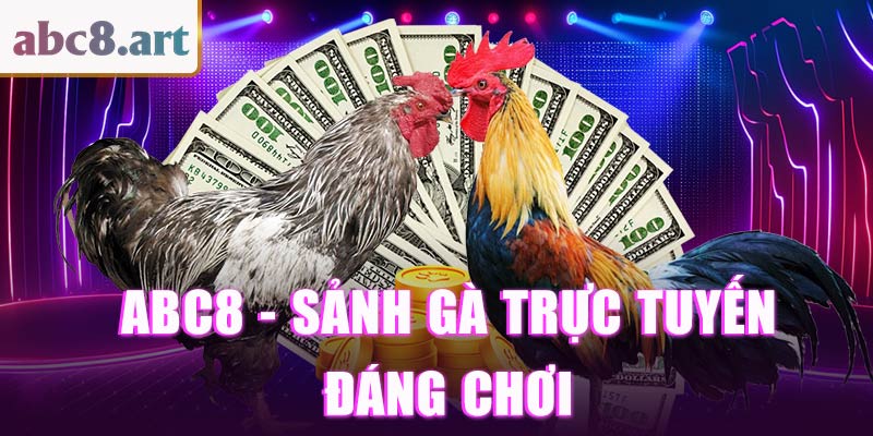 ABC8 - Top trang đá gà uy tín hàng đầu hiện nay